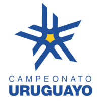Primera Division logo
