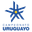 Primera Division logo
