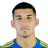 Alexis Alvariño