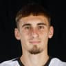 Catalin Cucos
