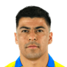Tomás Alarcón