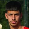 Nemanja Vidojevic