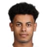 Mohamed Atef