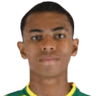 Marcelo Henrique