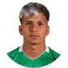 M. Roldán