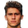 Stefano Piccinini