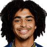 Tiago Araújo Brito