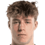 Tibe De Vlieger