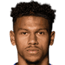 Bryan Fiabema
