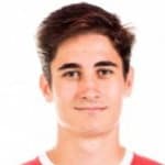 Javier Mecerreyes