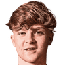 Harry Vaughan