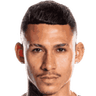 Luiz Fernando