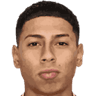 Erick Perleche