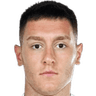 Vojin Serafimovic