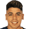 F. Tévez