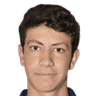 P. Budib