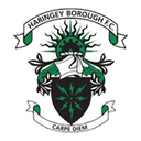 Haringey Borough logo