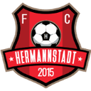 Hermannstadt logo