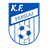 Ferizaj logo