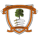 Ashford Town (Middlesex) logo