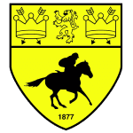 Newmarket Town logo