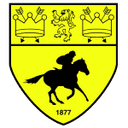 Newmarket Town logo