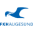 Haugesund logo