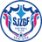 Shijiazhuang Gongfu logo