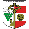 TJ Tatran Bohunice logo