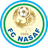 Nasaf logo
