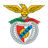 Benfica Castelo Branco logo