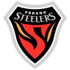 Pohang Steelers logo
