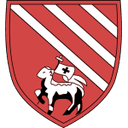 Droylsden logo