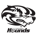 Pittsburgh Riverhounds logo