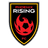Phoenix Rising logo