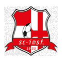Imst logo