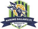 Marumo Gallants FC logo