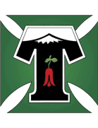 Deportes Temuco logo