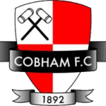 Cobham logo