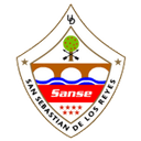 SS Reyes logo
