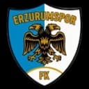 Erzurumspor FK logo