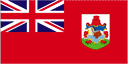 Bermuda logo