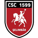 Viitorul Şelimbăr logo