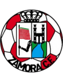 Zamora logo