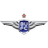 True Bangkok United logo