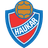 Haukar logo