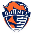 Qingdao Hainiu logo