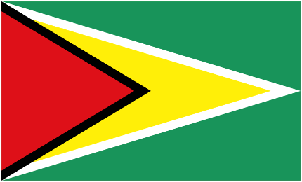 Guyana logo