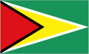 Guyana logo