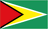 Guyana logo